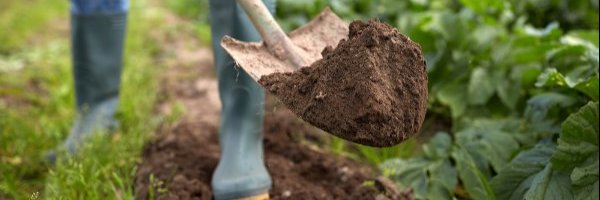 Майские каникулы на даче