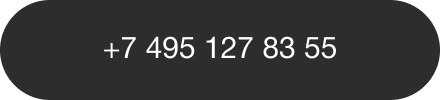 +74951278355